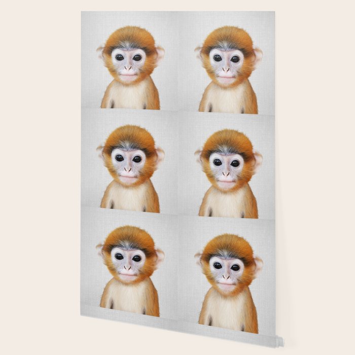Baby Monkey - Colorful Wallpaper Gallery Image 2