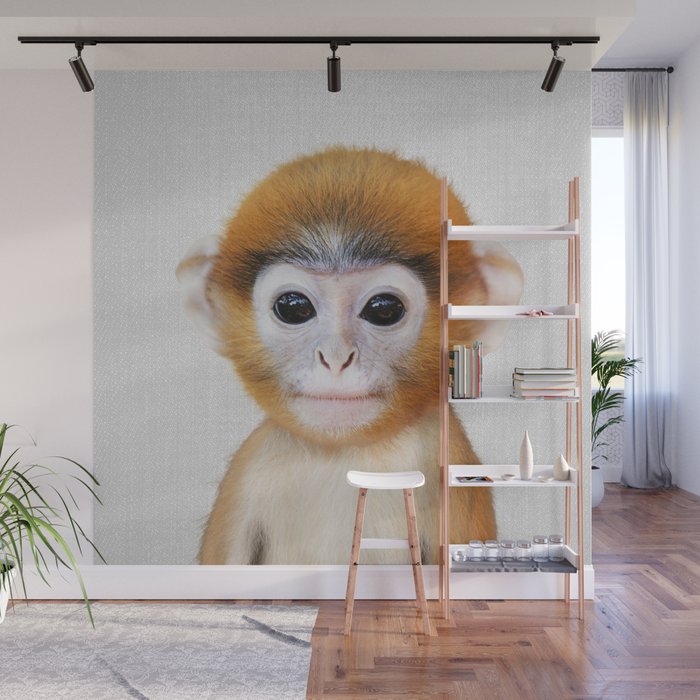 Baby Monkey - Colorful Wall Mural Gallery Image 1