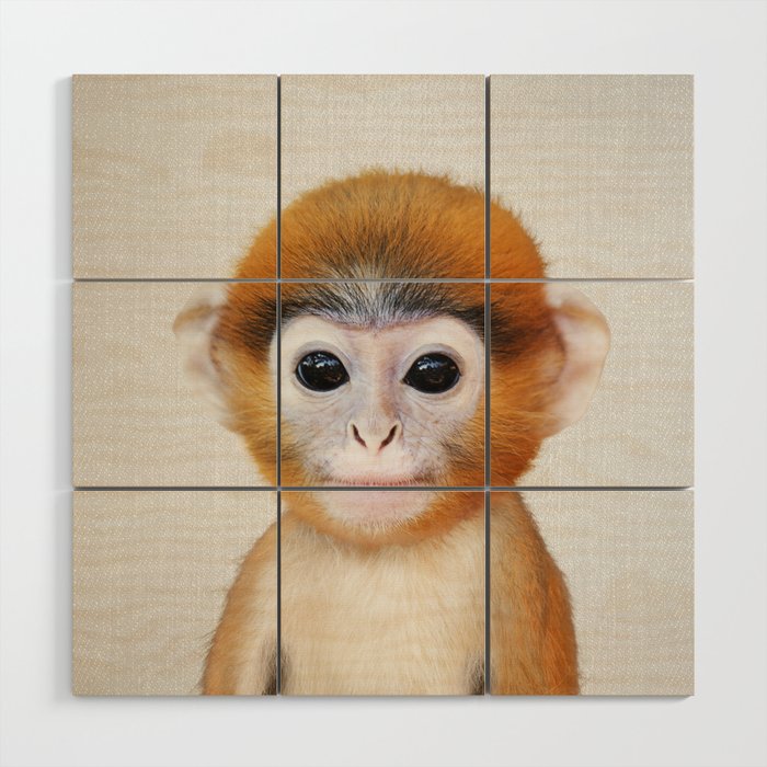 Baby Monkey - Colorful Wood Wall Art Gallery Image 1