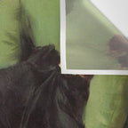 A Decadent Girl - Ramon Casas Wall Tapestry Gallery Image 3