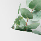 Simpatico V4 Pillow Sham Gallery Image 4