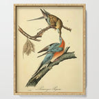 Passenger Pigeon by John James Audubon, 1842 (benefitting The Audubon Society) Serving Tray Gallery Image 1