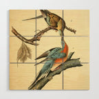 Passenger Pigeon by John James Audubon, 1842 (benefitting The Audubon Society) Wood Wall Art Gallery Image 1