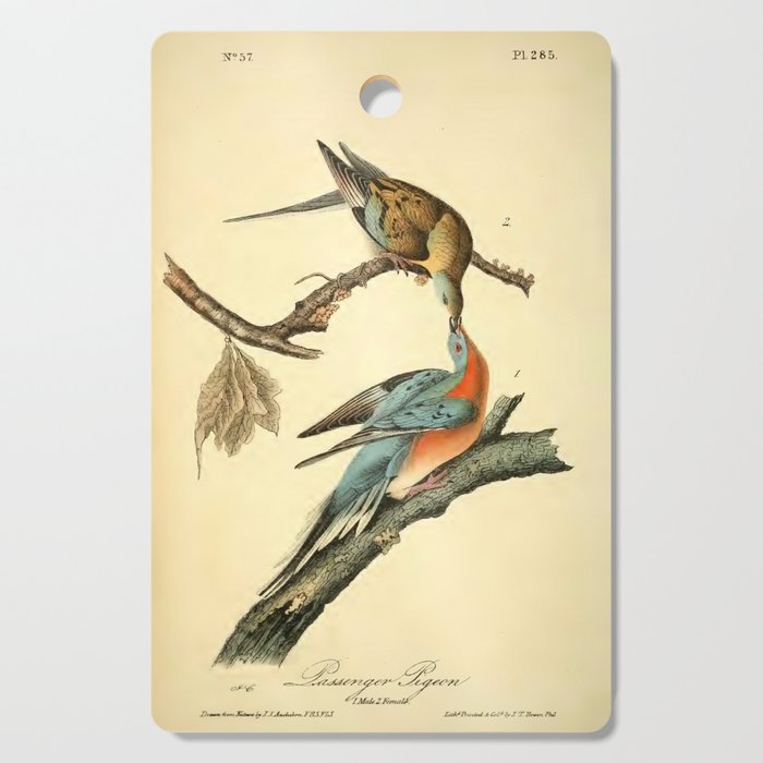 Passenger Pigeon by John James Audubon, 1842 (benefitting The Audubon Society) Cutting Board Gallery Image 1