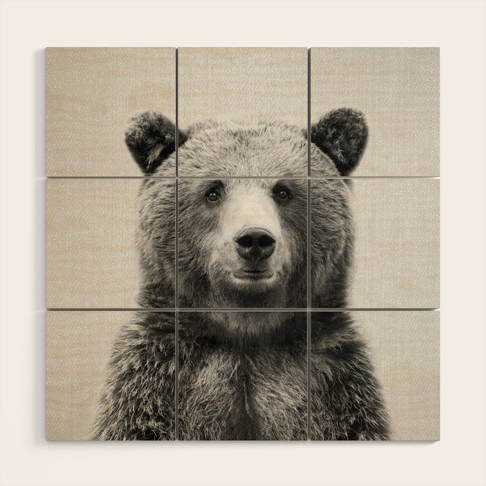 Grizzly Bear - Black & White Wood Wall Art Gallery Image 1