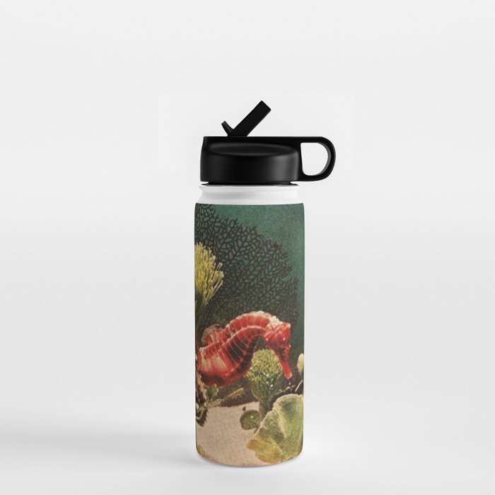Under the Sea // Seahorses Water Bottle Gallery Image 1
