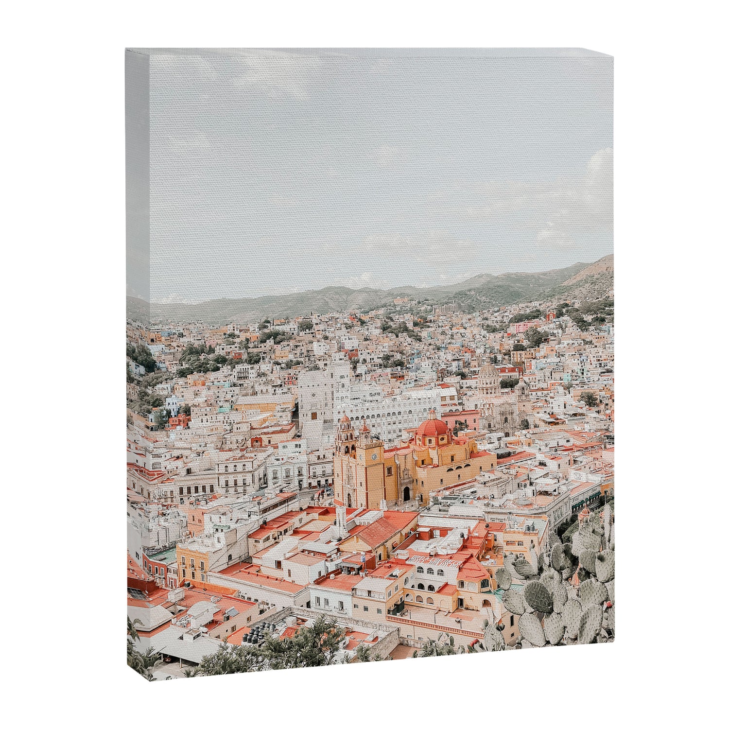 Mexico City View Canvas Print Gallery Image 6