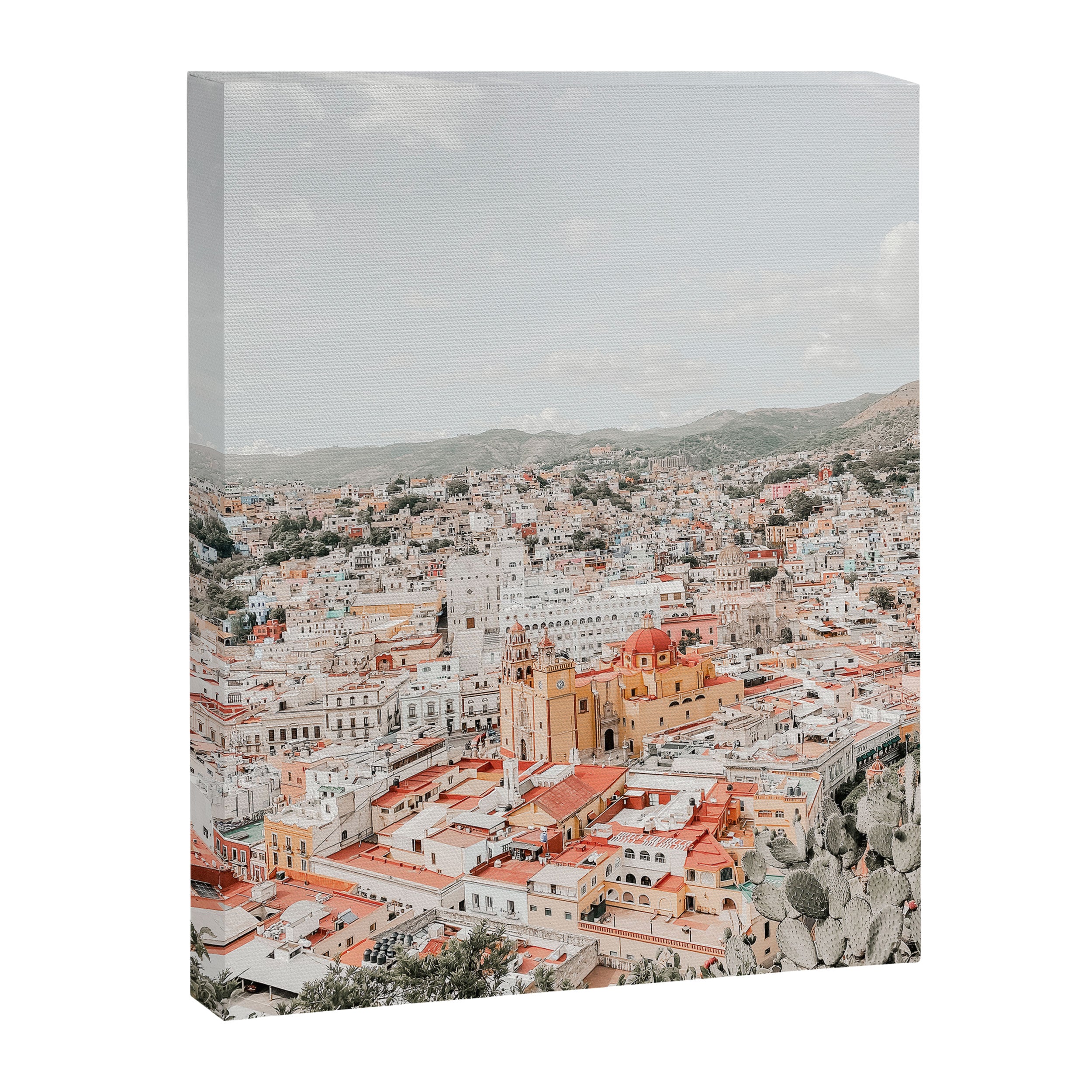 Mexico City View Canvas Print Gallery Image 6
