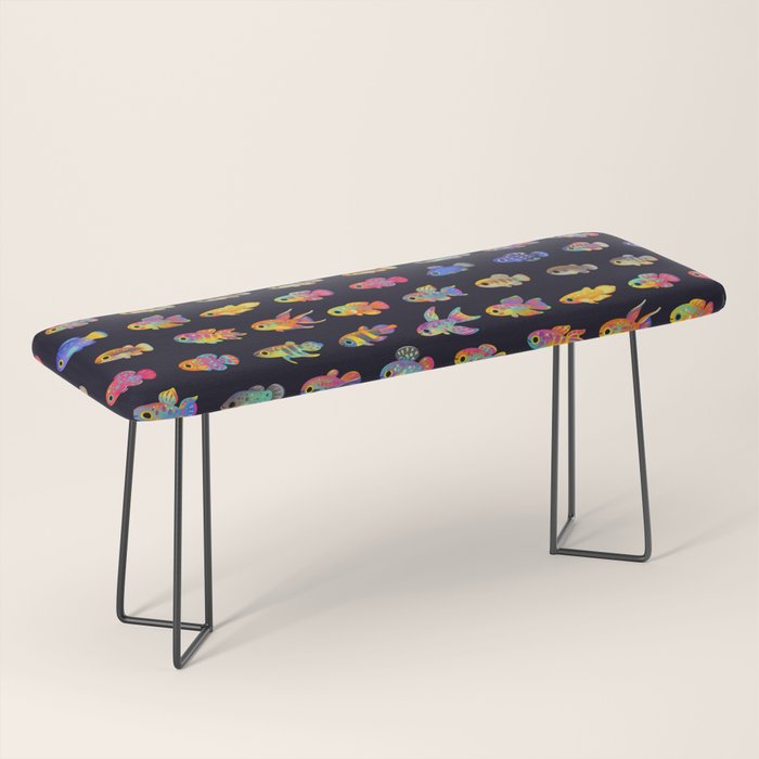 Killifish! Bench Gallery Image 1