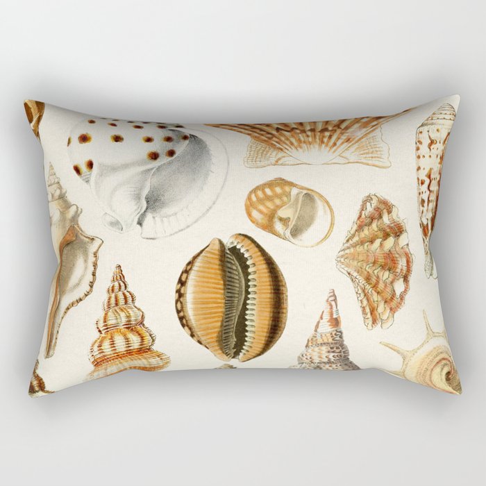 Seashells Collection Rectangular Pillow Gallery Image 1