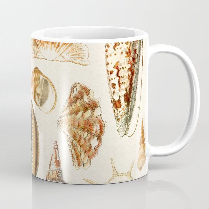Seashells Collection Coffee Mug Gallery Image 1