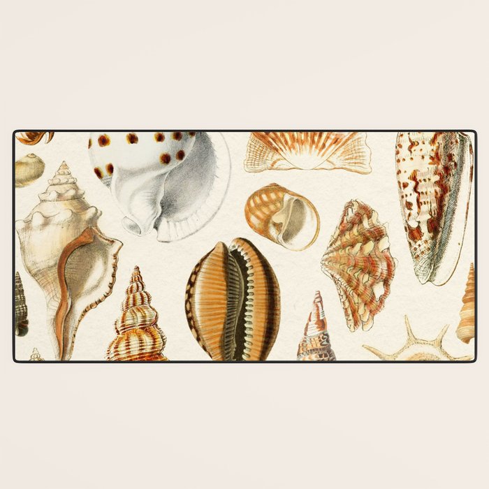 Seashells Collection Desk Mat Gallery Image 3