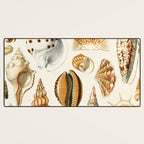 Seashells Collection Desk Mat Gallery Image 3