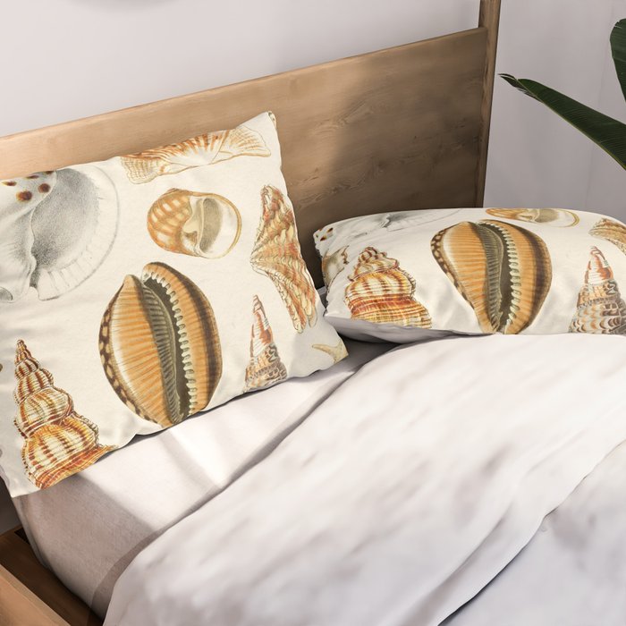 Seashells Collection Pillow Sham Gallery Image 2