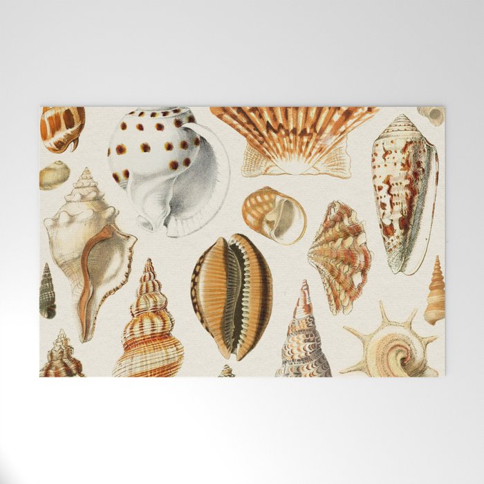 Seashells Collection Welcome Mat Gallery Image 1