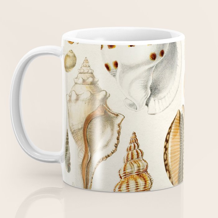 Seashells Collection Coffee Mug Gallery Image 3