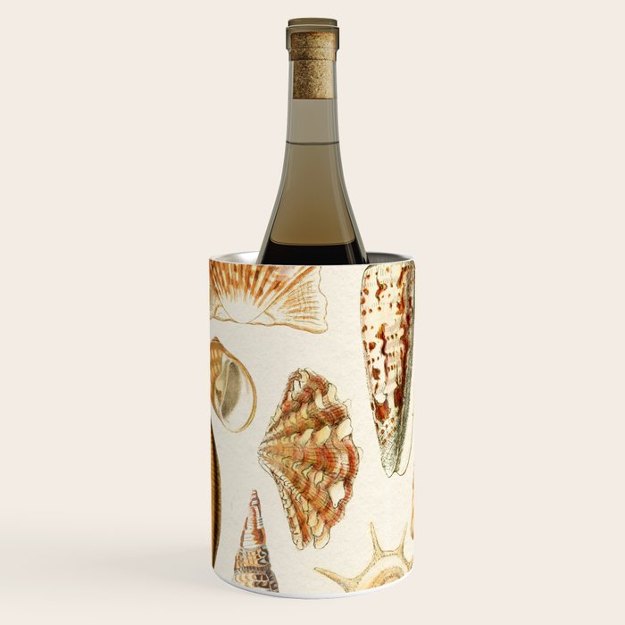 Seashells Collection Wine Chiller Gallery Image 3