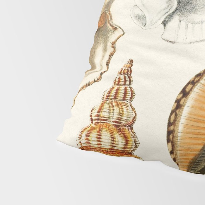 Seashells Collection Pillow Sham Gallery Image 4
