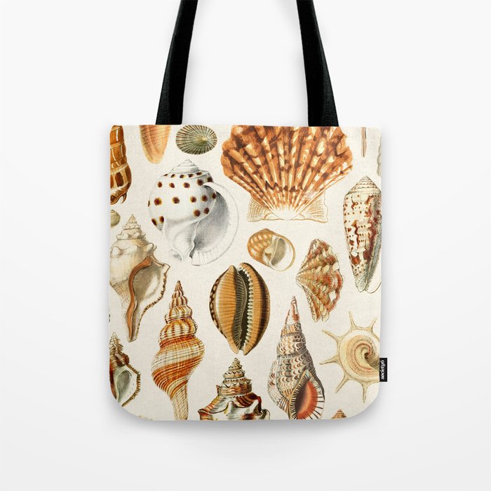 Seashells Collection Tote Bag Gallery Image 1