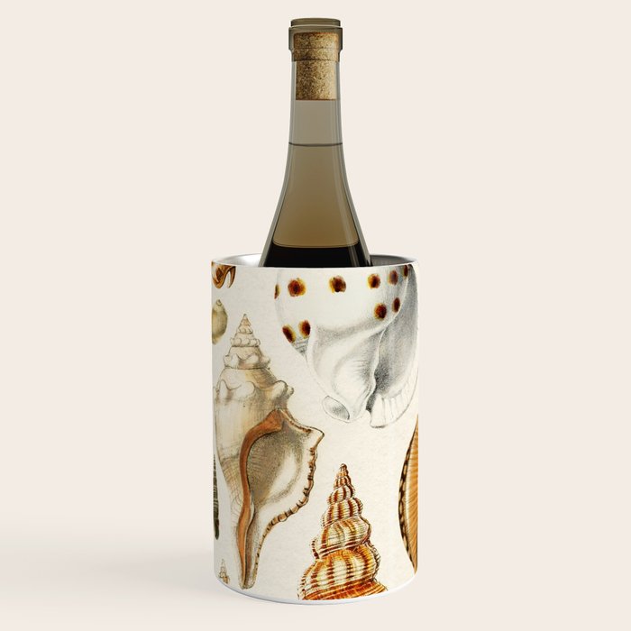 Seashells Collection Wine Chiller Gallery Image 2