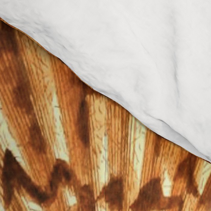 Seashells Collection Comforter Gallery Image 4