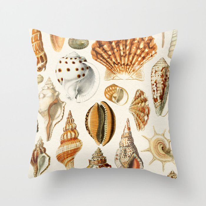 Seashells Collection Throw Pillow Gallery Image 6
