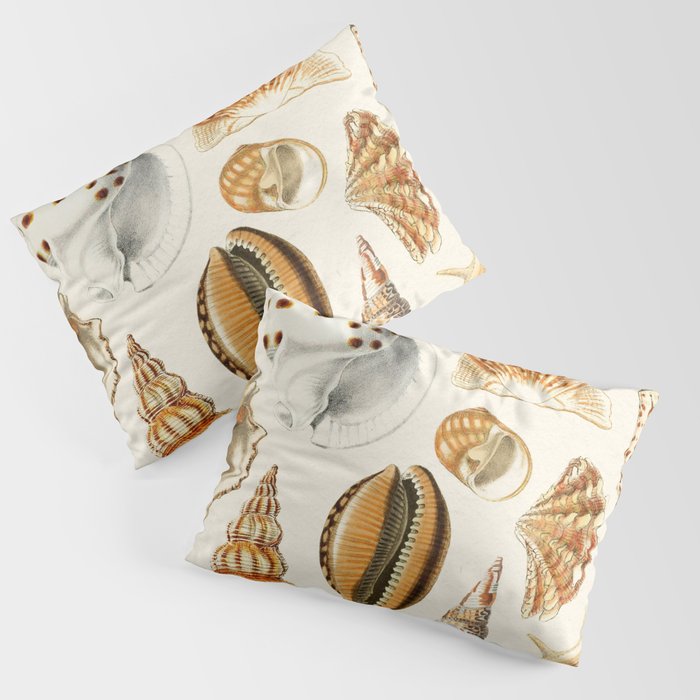 Seashells Collection Pillow Sham Gallery Image 3