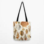 Seashells Collection Tote Bag Gallery Image 2