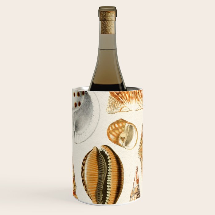 Seashells Collection Wine Chiller Gallery Image 1