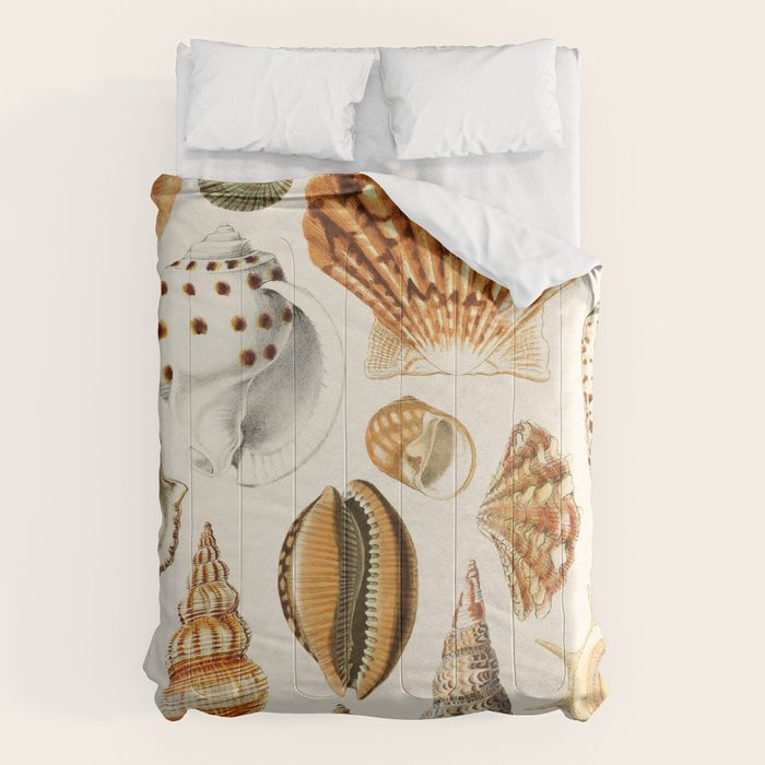 Seashells Collection Comforter Gallery Image 1