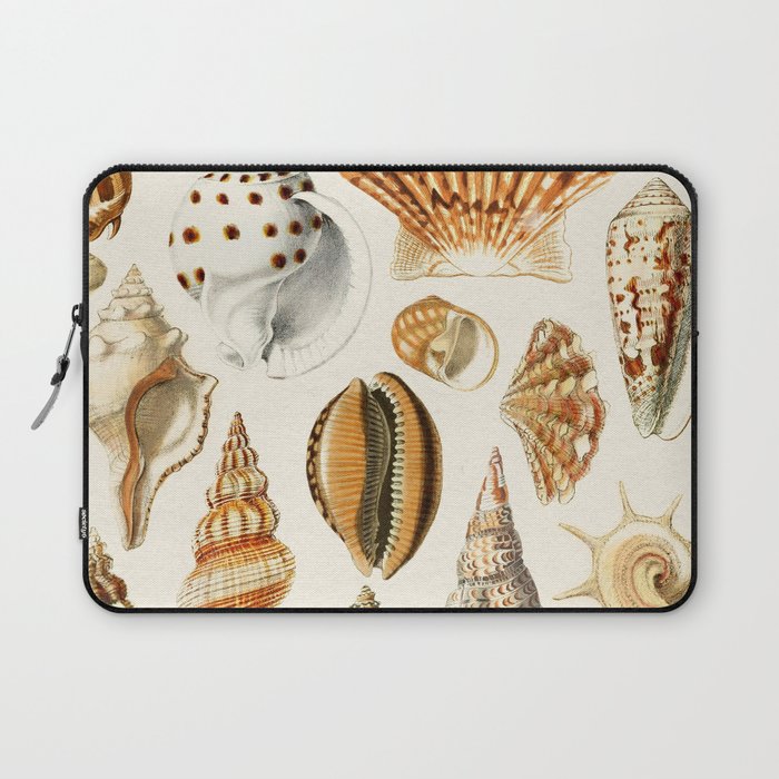Seashells Collection Laptop Sleeve Gallery Image 1