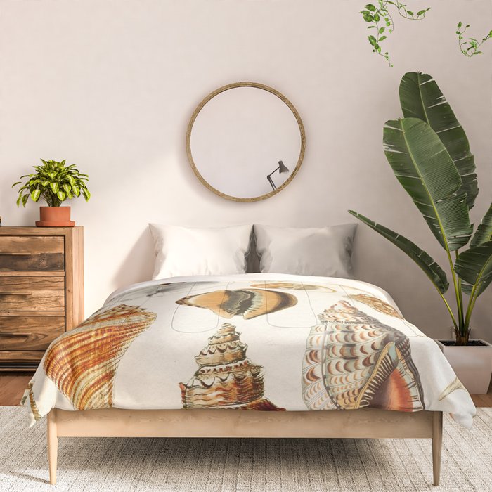 Seashells Collection Comforter Gallery Image 3