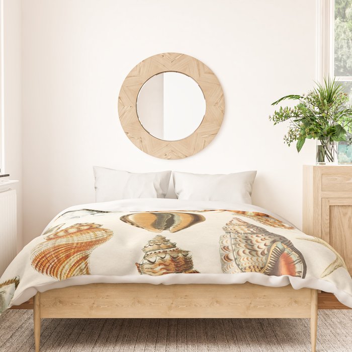 Seashells Collection Duvet Cover Gallery Image 3