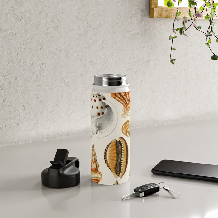 Seashells Collection Water Bottle Gallery Image 4
