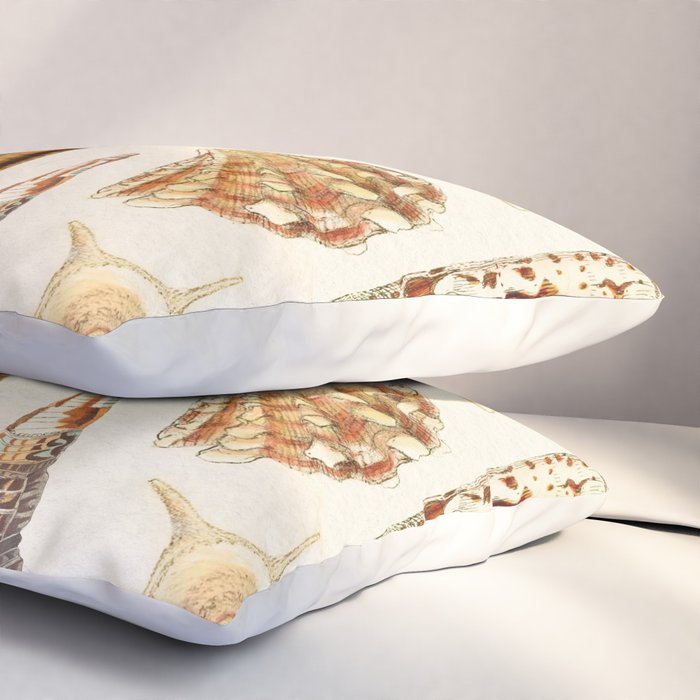 Seashells Collection Pillow Sham Gallery Image 3
