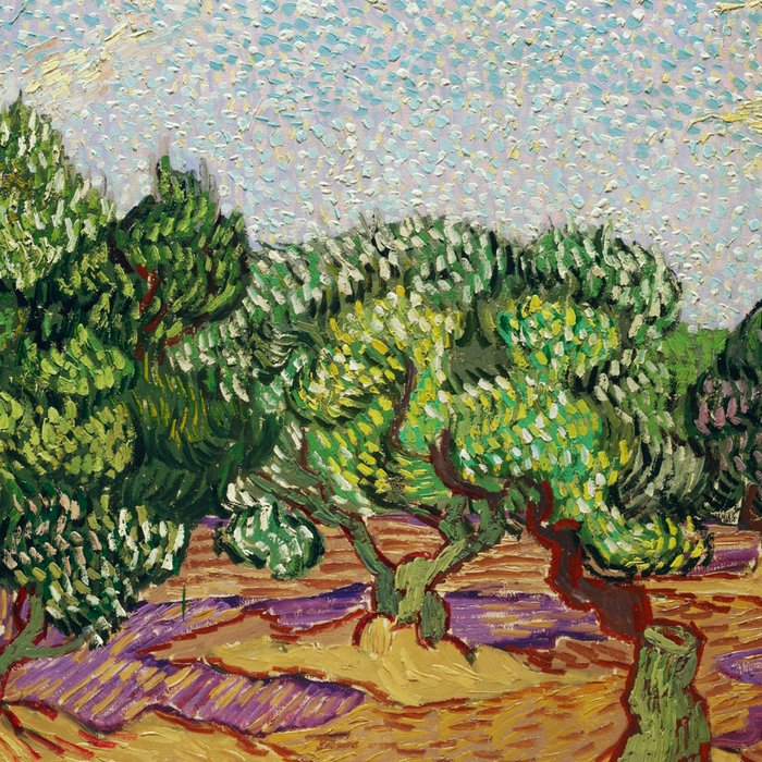 Olive Trees by Vincent Van Gogh Coffee Mug Gallery Image 2