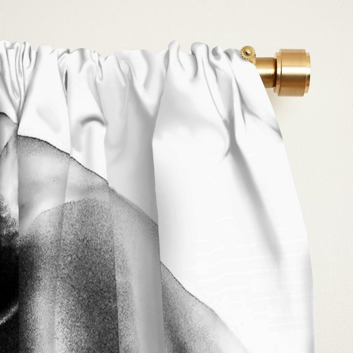 microphone music aesthetic close up elegant mood art photography  Window Curtain Gallery Image 2