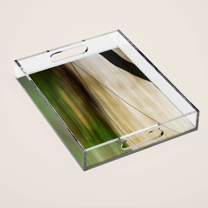 Forest, Water, Lines - abstract nature photograph long explosure Acrylic Tray Gallery Image 1