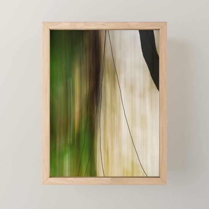Forest, Water, Lines - abstract nature photograph long explosure Mini Art Print Gallery Image 1