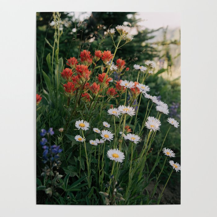 Wildflowers Poster Gallery Image 1