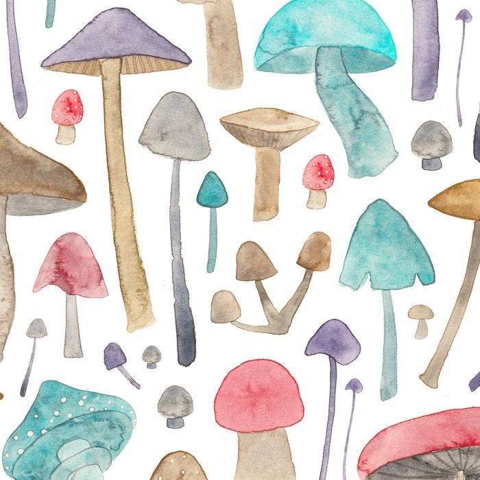 Toadstools and Mushrooms Coffee Mug Gallery Image 2
