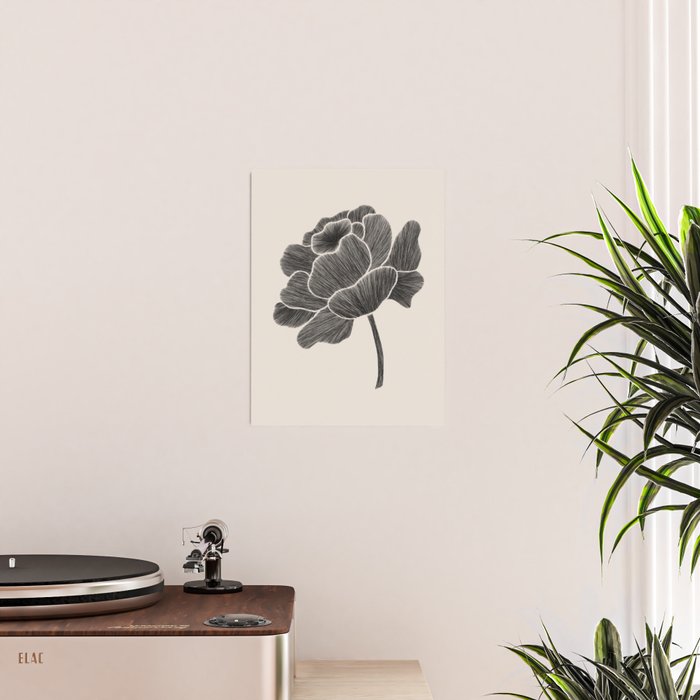 Black Peony I Poster Gallery Image 2