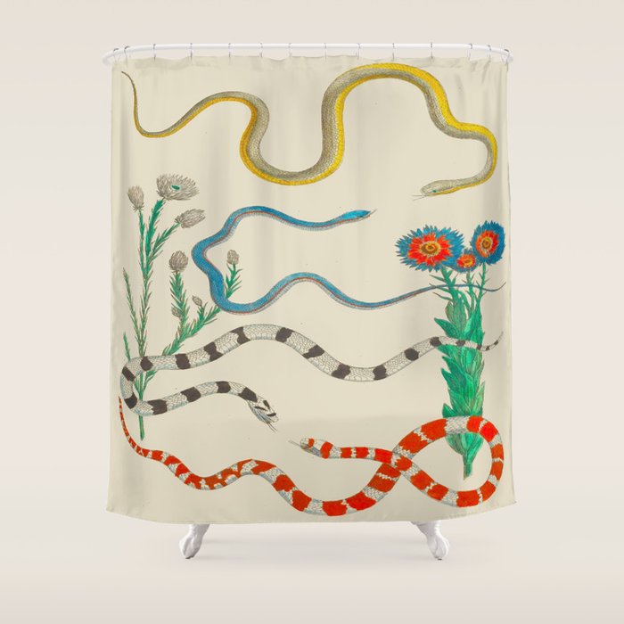 Locupletissimi rerum naturalium - vol. 2 - Albertus Seba Colorful Snake Floral Arrangement Shower Curtain Gallery Image 1