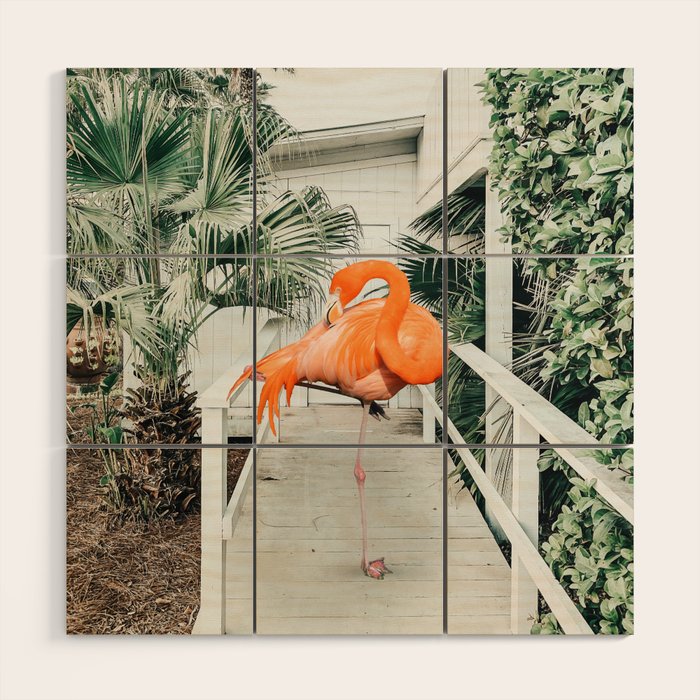 Flamingo Beach House, Wildlife Architecture Jungle Photography, Eclectic Birds Digital Art Wood Wall Art Gallery Image 1