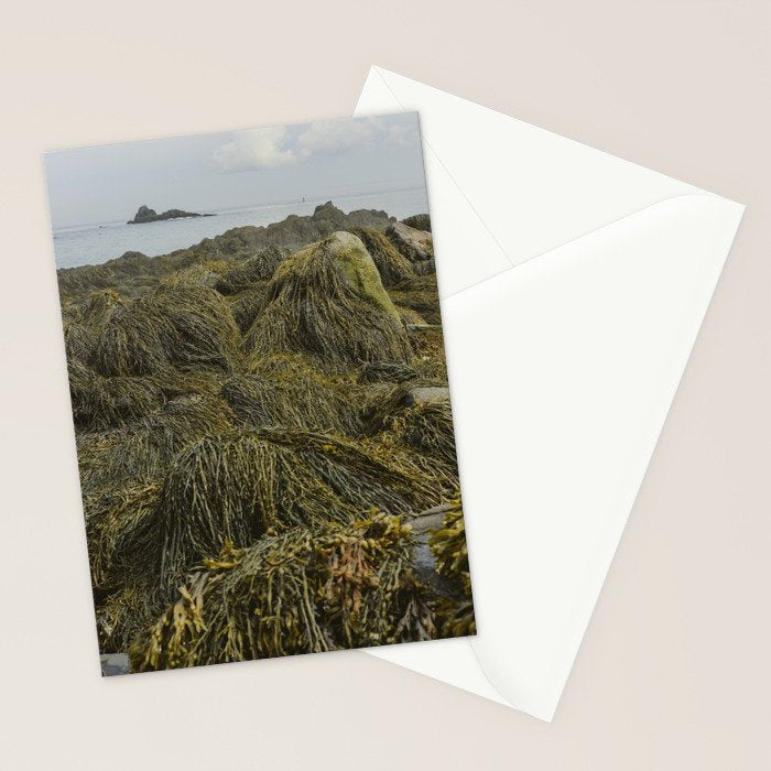 Seaweed - ocean nature photograph Stationery Card Gallery Image 2
