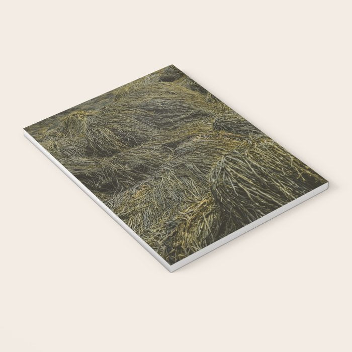 Seaweed - ocean nature photograph Notebook Gallery Image 3