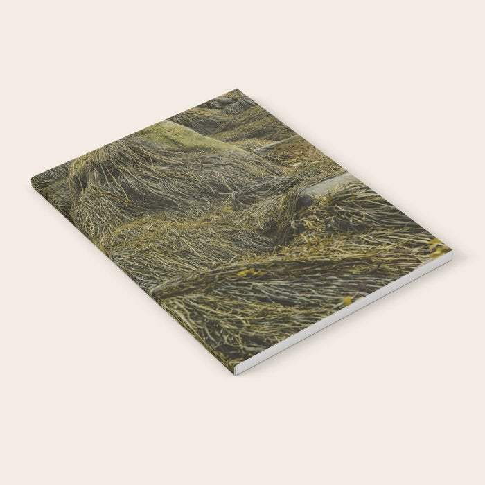 Seaweed - ocean nature photograph Notebook Gallery Image 1