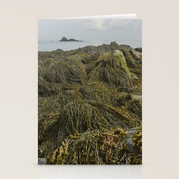 Seaweed - ocean nature photograph Stationery Card Gallery Image 2
