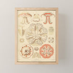 Jellyfish by Ernst Haeckel from his monograph of deep-sea medusae (1879) Mini Art Print Gallery Image 1