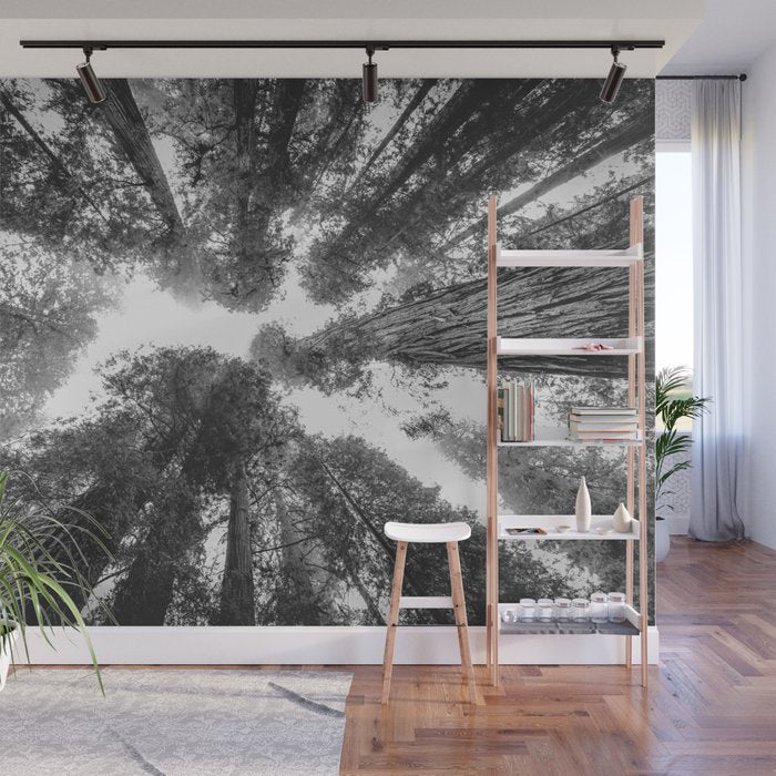 Into the Mist - Black and White Nature Photography Wall Mural Gallery Image 1